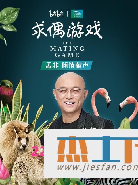 电影封面