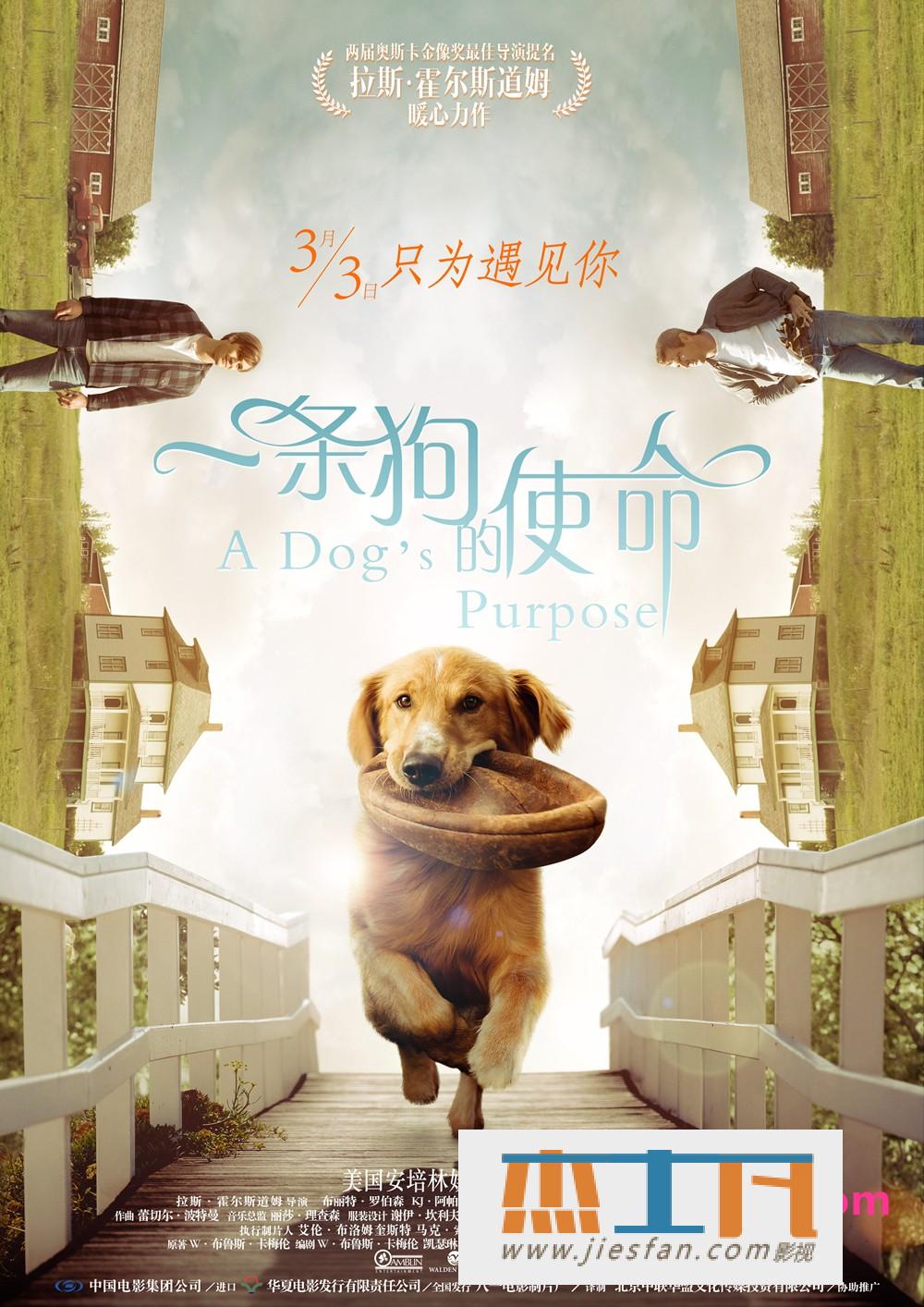 电影封面