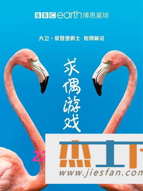 电影封面