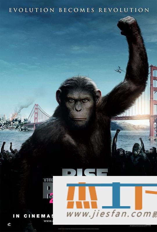 电影封面