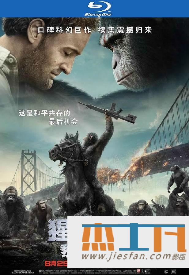 电影封面