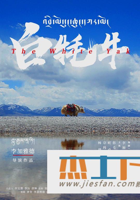 电影封面