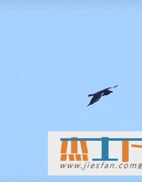 电影封面