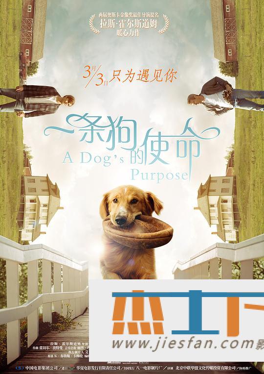 电影封面