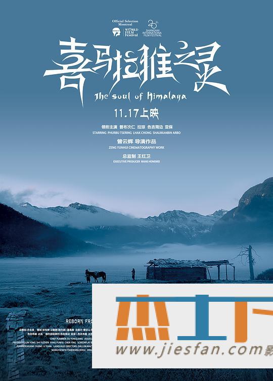 电影封面