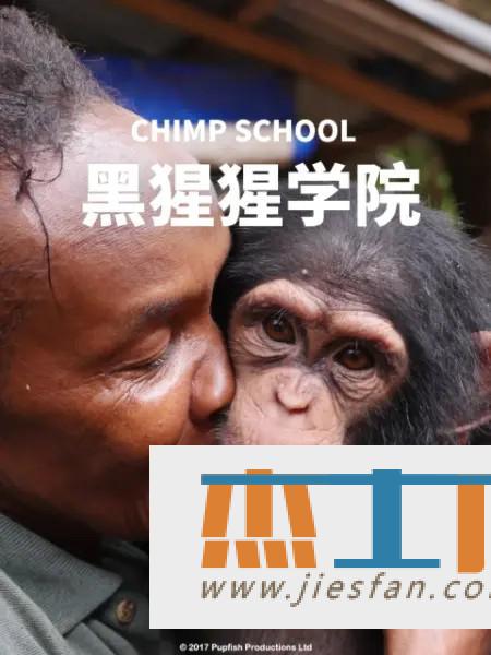 电影封面