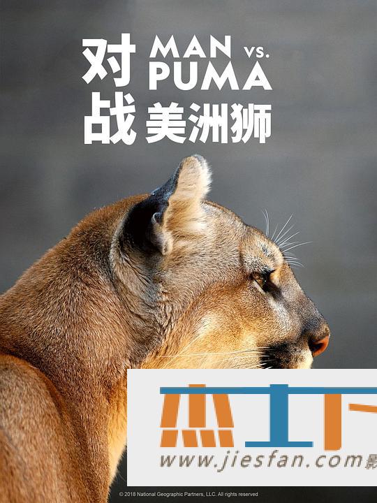 电影封面