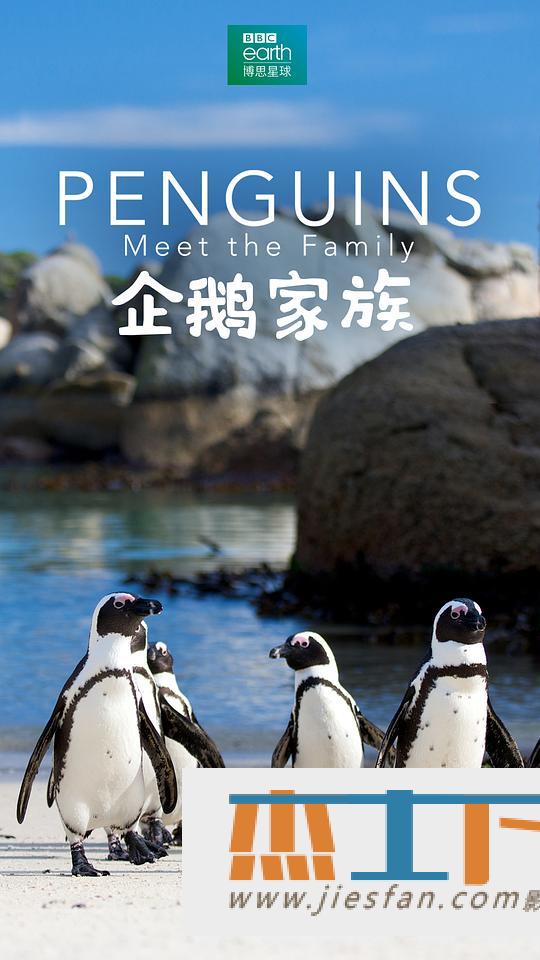 电影封面
