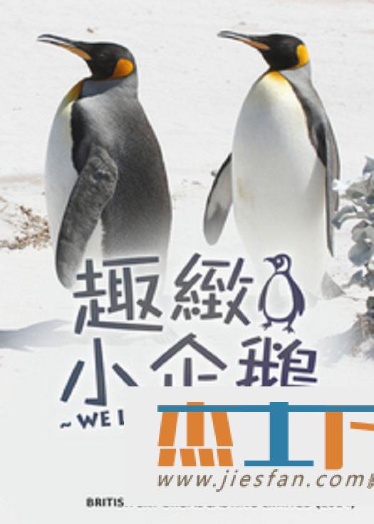 电影封面
