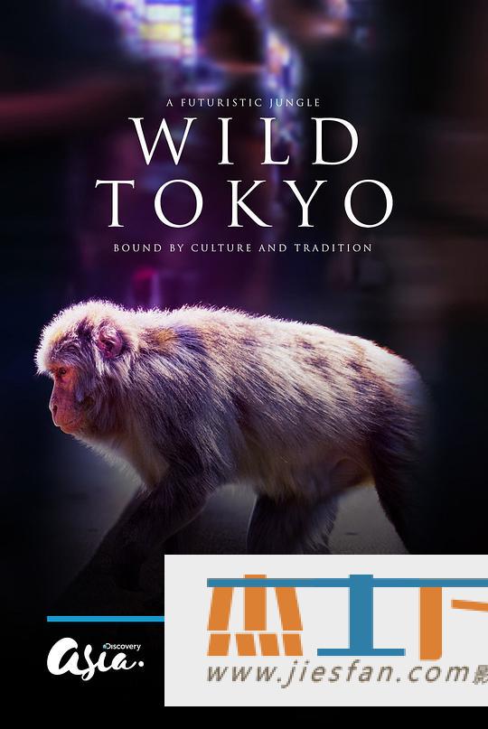 电影封面