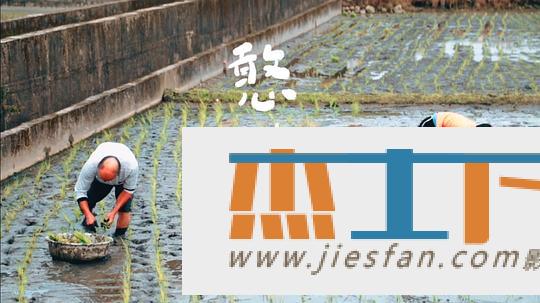 电影封面